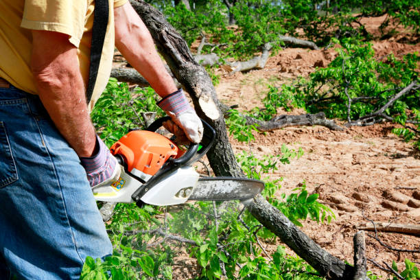 Best Utility Line Clearance  in Spartanburg, SC